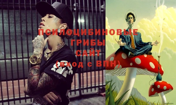 a pvp Новодвинск